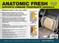 SUPPORTO LOMBARE ANATOMIC FRESH