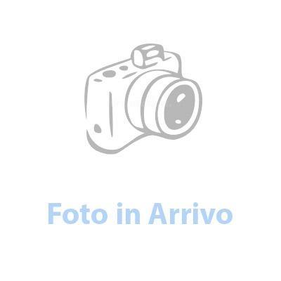 BOSCH AEROTWIN MULTI-CLIP AM460S coppia