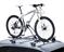 THULE PORTABICI NEW FREERIDE 532