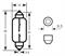 RING LAMPADA SILURO 12V 10W