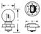 RING LAMPADA 6V 15W S3