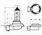 RING LAMPADA H11 12V 55W ALOGENA