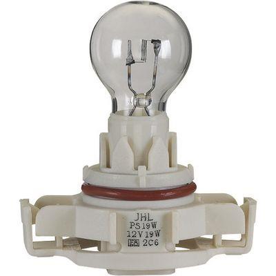 LAMPADA PS19W 12V 19W PG20-1 base in plastica