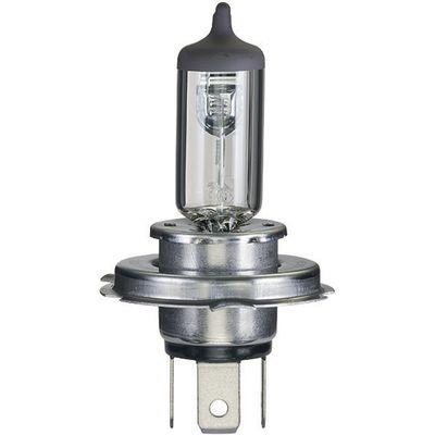 LAMPADA H19 12V 60/55W PU43T-3