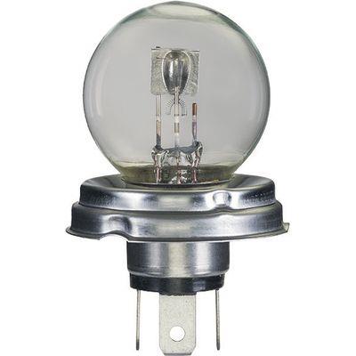 LAMPADA R2 24V 55/50W P45t G40 ASIMMETRICA