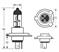 KIT 2PZ.LAMPADE H4 12V RING XENON +150